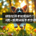 膀胱切开术如何操作?8图+视频详解手术步骤(图4) 膀胱切开术如何操作?8图+视频详解手术步骤(图4)
