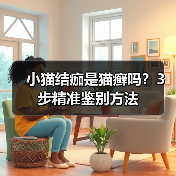 小猫结痂是猫癣吗？3步精准鉴别方法 - 辰飞雨新生家伴