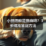 小猫结痂是猫癣吗?3步精准鉴别方法(图2) 小猫结痂是猫癣吗?3步精准鉴别方法(图2)