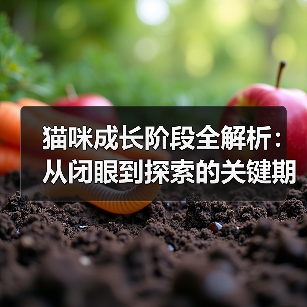 猫咪成长阶段全解析：从闭眼到探索的关键期 - 辰飞雨新生家伴