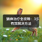 猫癣治疗全攻略:3步有效解决方法(图3) 猫癣治疗全攻略:3步有效解决方法(图3)
