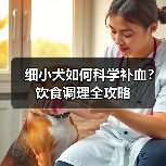 细小犬如何科学补血？饮食调理全攻略 - 辰飞雨新生家伴