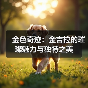 金色奇迹:金吉拉的璀璨魅力与独特之美(图3) 金色奇迹:金吉拉的璀璨魅力与独特之美(图3)