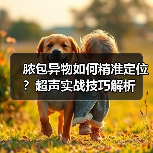 脓包异物如何精准定位?超声实战技巧解析(图4) 脓包异物如何精准定位?超声实战技巧解析(图4)