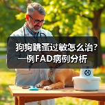 狗狗跳蚤过敏怎么治？一例FAD病例分析 - 辰飞雨新生家伴