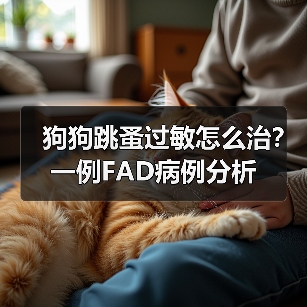 狗狗跳蚤过敏怎么治?一例FAD病例分析(图2) 狗狗跳蚤过敏怎么治?一例FAD病例分析(图2)