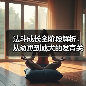 法斗成长全阶段解析:从幼崽到成犬的发育关键(图4) 法斗成长全阶段解析:从幼崽到成犬的发育关键(图4)
