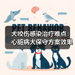 犬咬伤感染治疗难点:心脏病犬保守方案效果分析(图3) 犬咬伤感染治疗难点:心脏病犬保守方案效果分析(图3)