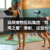 瑞辰宠物医院集团“每周之星”表彰,这些优秀员工用行动诠释荣誉(图2) 瑞辰宠物医院集团“每周之星”表彰,这些优秀员工用行动诠释荣誉(图2)