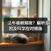 法牛咳嗽频发?解析原因及科学应对措施(图4) 法牛咳嗽频发?解析原因及科学应对措施(图4)