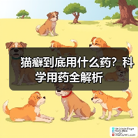 猫癣到底用什么药?科学用药全解析(图2) 猫癣到底用什么药?科学用药全解析(图2)