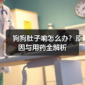 狗狗肚子响怎么办?原因与用药全解析(图3) 狗狗肚子响怎么办?原因与用药全解析(图3)