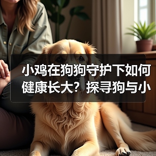 小鸡在狗狗守护下如何健康长大?探寻狗与小鸡的共生关系(图3) 小鸡在狗狗守护下如何健康长大?探寻狗与小鸡的共生关系(图3)