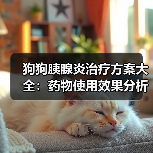 狗狗胰腺炎治疗方案大全:药物使用效果分析(图4) 狗狗胰腺炎治疗方案大全:药物使用效果分析(图4)