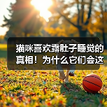 猫咪喜欢露肚子睡觉的真相!为什么它们会这样做?(图3) 猫咪喜欢露肚子睡觉的真相!为什么它们会这样做?(图3)