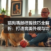 猎狗嘴部修剪技巧全解析：打造完美外观与功能 - 辰飞雨新生家伴