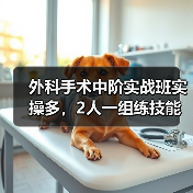外科手术中阶实战班实操多，2人一组练技能