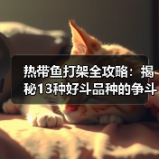 热带鱼打架全攻略:揭秘13种好斗品种的争斗真相(图2) 热带鱼打架全攻略:揭秘13种好斗品种的争斗真相(图2)