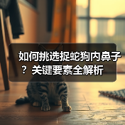 如何挑选捉蛇狗内鼻子?关键要素全解析(图3) 如何挑选捉蛇狗内鼻子?关键要素全解析(图3)