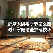 萨摩犬换毛季节怎么应对?掌握这些护理技巧(图4) 萨摩犬换毛季节怎么应对?掌握这些护理技巧(图4)