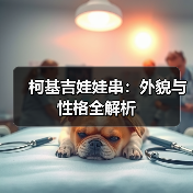 柯基吉娃娃串:外貌与性格全解析(图1) 柯基吉娃娃串:外貌与性格全解析(图1)
