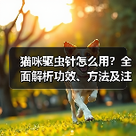 猫咪驱虫针怎么用?全面解析功效、方法及注意事项(图3) 猫咪驱虫针怎么用?全面解析功效、方法及注意事项(图3)