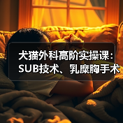 犬猫外科高阶实操课：SUB技术、乳糜胸手术如何掌握？(图3)
