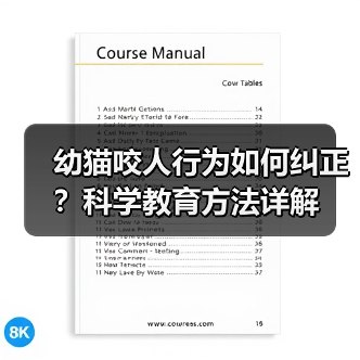 幼猫咬人行为如何纠正？科学教育方法详解(图2)