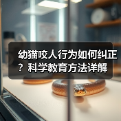 幼猫咬人行为如何纠正？科学教育方法详解(图4)