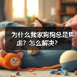 为什么我家狗狗总是焦虑？怎么解决？ - 辰飞雨新生家伴