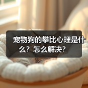宠物狗的攀比心理是什么?怎么解决?(图3) 宠物狗的攀比心理是什么?怎么解决?(图3)