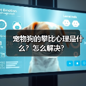 宠物狗的攀比心理是什么?怎么解决?(图4) 宠物狗的攀比心理是什么?怎么解决?(图4)