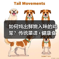 如何炖出鲜嫩入味的鸡架？传统菜谱+健康食材大公开 - 辰飞雨新生家伴