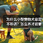 为什么小型宠物犬总是不听话?怎么养才能更听话?(图3) 为什么小型宠物犬总是不听话?怎么养才能更听话?(图3)