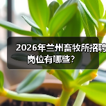 2026年兰州畜牧所招聘岗位有哪些？ - 辰飞雨新生家伴