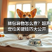 脓包异物怎么查？超声定位关键技巧大公开 - 辰飞雨新生家伴
