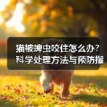 猫被蜱虫咬住怎么办?科学处理方法与预防指南(图4) 猫被蜱虫咬住怎么办?科学处理方法与预防指南(图4)