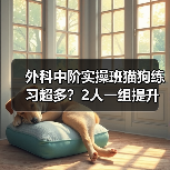 外科中阶实操班猫狗练习超多?2人一组提升快不?(图4) 外科中阶实操班猫狗练习超多?2人一组提升快不?(图4)