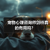 宠物心理咨询师剑桥真的有用吗?(图4) 宠物心理咨询师剑桥真的有用吗?(图4)