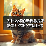为什么你的宠物总是不听话?这3个方法让你轻松搞定(图2) 为什么你的宠物总是不听话?这3个方法让你轻松搞定(图2)