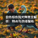 白色棕色狗犬种类全解析：特点与选择指南 - 辰飞雨新生家伴