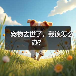 宠物去世了，我该怎么办？ - 辰飞雨新生家伴