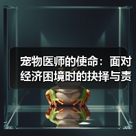宠物医师的使命：面对经济困境时的抉择与责任(图3)