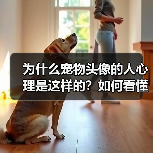 为什么宠物头像的人心理是这样的？如何看懂他们的内心世界？(图2)
