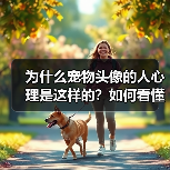 为什么宠物头像的人心理是这样的？如何看懂他们的内心世界？ - 辰飞雨新生家伴