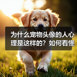 为什么宠物头像的人心理是这样的？如何看懂他们的内心世界？(图3)