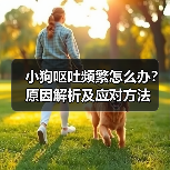小狗呕吐频繁怎么办？原因解析及应对方法