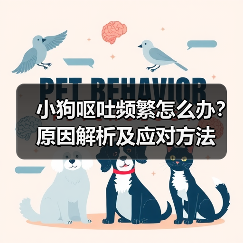 小狗呕吐频繁怎么办？原因解析及应对方法(图4)