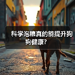 科学泡粮真的能提升狗狗健康？(图3)