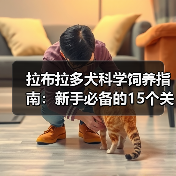 拉布拉多犬科学饲养指南：新手必备的15个关键点 - 辰飞雨新生家伴